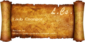 Laub Csongor névjegykártya