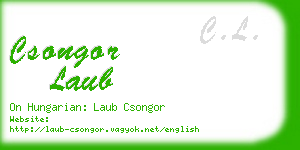csongor laub business card